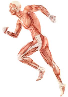 Încălcarea deprecierii neuromusculare